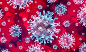 CORONAVIRUS (COVID-19) КАРТА КОРОНАВИРУСА